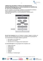 2. Leitfaden Peerhospitation.pdf